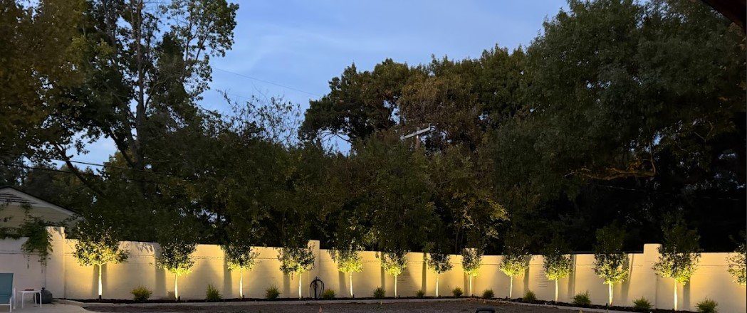 How Much Does Landscape Lighting Cost in Fort Worth and North Texas?